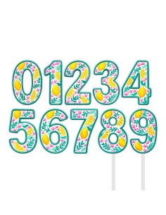 Full Colour Taarttopper op Maat: Pink Lemon - Cijfers Dubbel 2