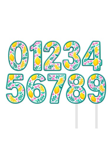 Full Colour Taarttopper op Maat: Pink Lemon - Cijfers Dubbel