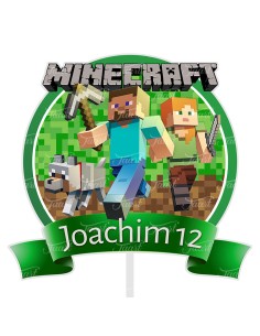 Full Colour Taarttopper op Maat: Minecraft 3