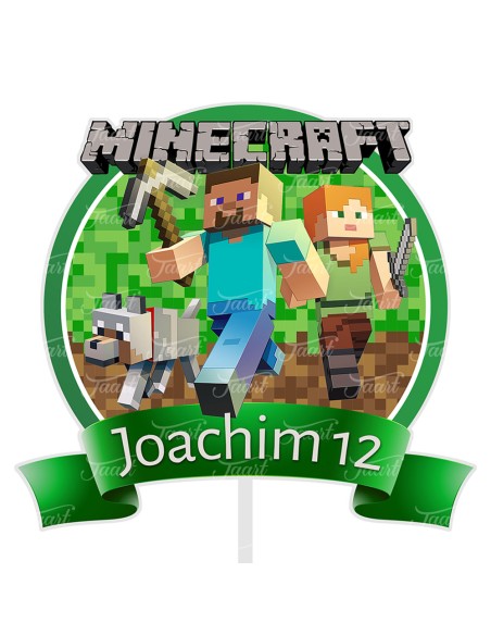 Full Colour Taarttopper op Maat: Minecraft 3