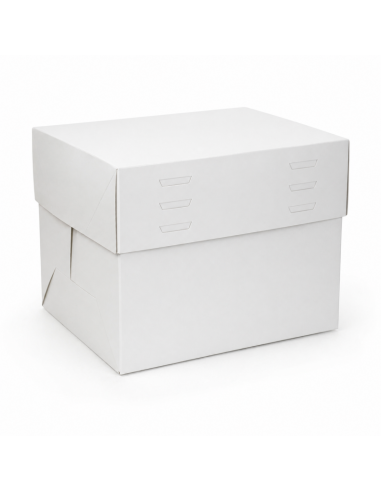 Taartdoos Verstelbare Hoogte Rechthoek -25x30x20-30cm-