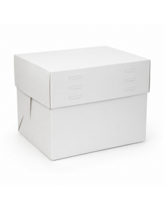 Taartdoos Verstelbare Hoogte Rechthoek -25x35x20-30cm-