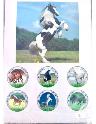 Eetbare Print B-Keuze Nr. 71: Paarden