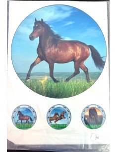 Eetbare Print B-Keuze Nr. 70: Paarden