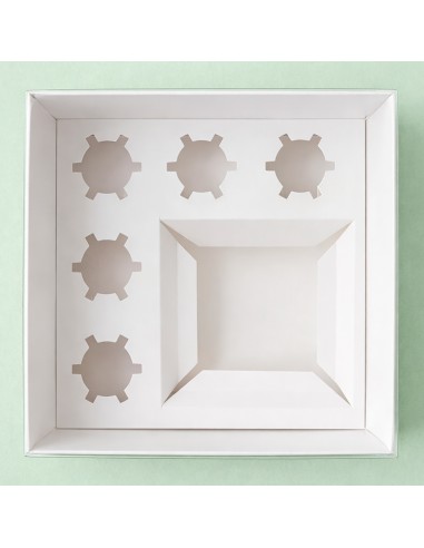 Bento Taartdoos + 5 Cupcakes -25x25x12,7cm-