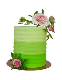 PME Acryl Schraper Schulp -25cm- 2