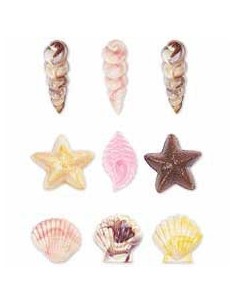 Wilton Chocolade Mal Schelpen 2