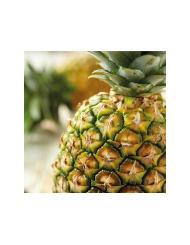 FunCakes Smaakpasta Ananas -120gr-