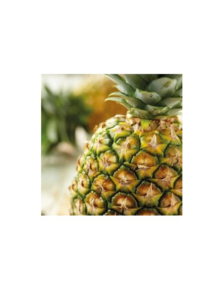 FunCakes Smaakpasta Ananas -120gr-