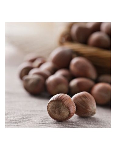 FunCakes Smaakpasta Hazelnoot -100gr-