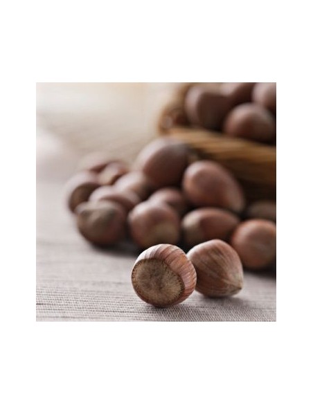 FunCakes Smaakpasta Hazelnoot -100gr-