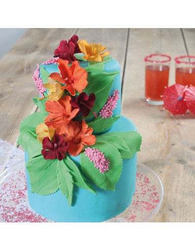 FMM Hawaiian Flower Cutters (set van 3)