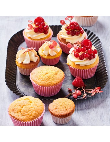 FunCakes Mix voor Cupcakes Glutenvrij -500gr-