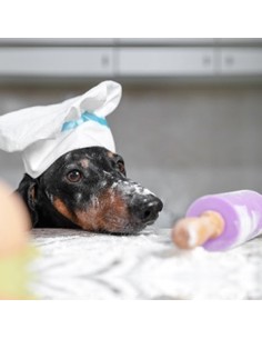 Bakzolder Mix voor Hondenkoekjes -400gr-