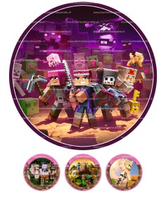 Eetbare Print Minecraft 4 - 20cm