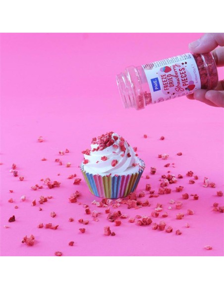 PME Gevriesdroogde Aardbeien -12gr- 