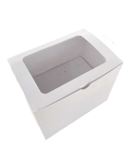 Azucren Cakepop Doos 12 -1st-