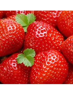 Mix voor Bavarois Aardbei -150gr-