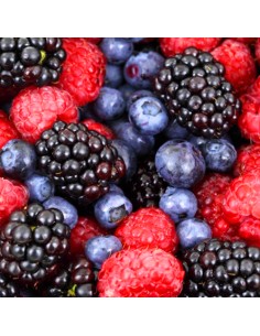 Mix voor Bavarois Bosvruchten -150gr-