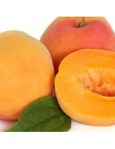 Mix voor Bavarois Mango-Abrikoos -150gr-