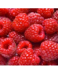 Mix voor Bavarois Framboos -150gr-