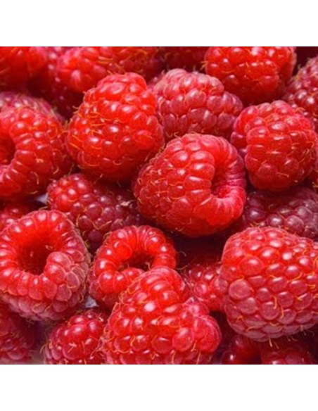 Mix voor Bavarois Framboos -150gr-