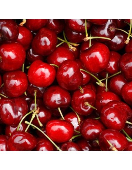 Mix voor Bavarois Kers -150gr-