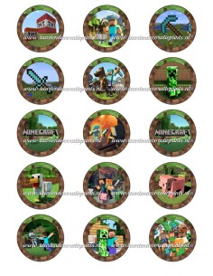 Eetbare Print Minecraft Cupcakes - 5cm