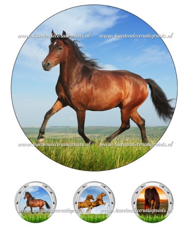 Eetbare Print Paarden 1 - 20cm