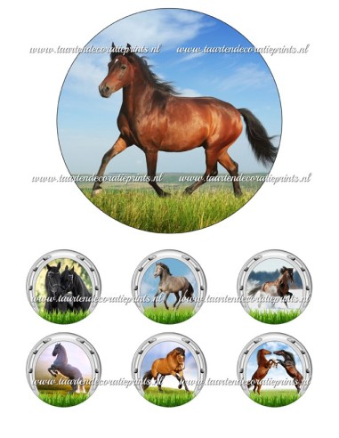 Eetbare Print Paarden 1 - 15cm