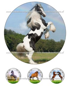 Eetbare Print Paarden 2 - 20cm