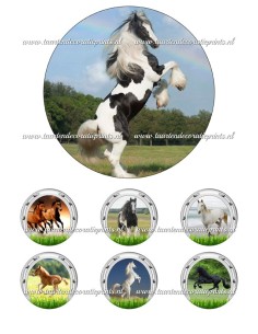 Eetbare Print Paarden 2 - 15cm
