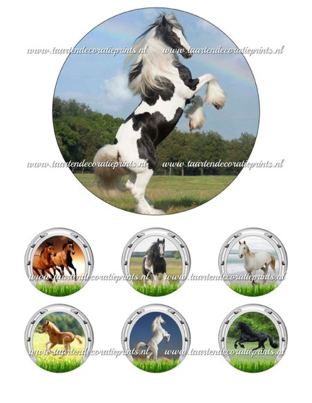 Eetbare Print Paarden 2 - 15cm