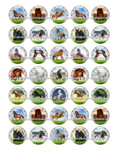 Eetbare Print Paarden Mini Cupcakes - 3,5cm