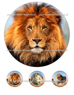 Eetbare Print Leeuw - 20cm