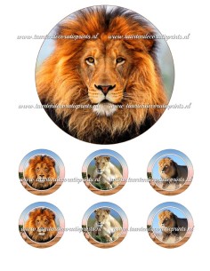 Eetbare Print Leeuw - 15cm