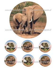 Eetbare Print Olifant - 15cm
