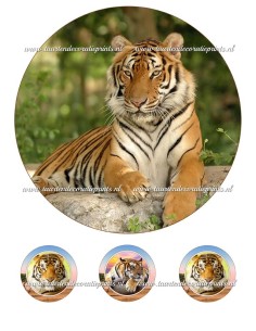 Eetbare Print Tijger - 20cm