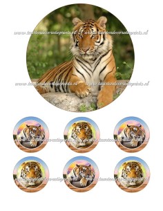 Eetbare Print Tijger - 15cm