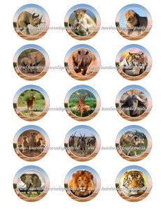 Eetbare Print Wilde Dieren Cupcakes - 5cm
