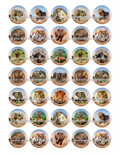 Eetbare Print Wilde Dieren Mini Cupcakes - 3,5cm