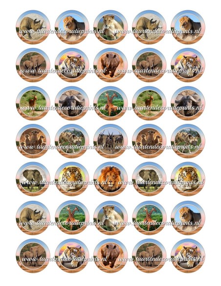 Eetbare Print Wilde Dieren Mini Cupcakes - 3,5cm
