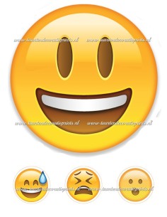 Eetbare Print Smiley 2 - 20cm