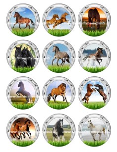 Eetbare Print Paarden Cupcakes - 6cm