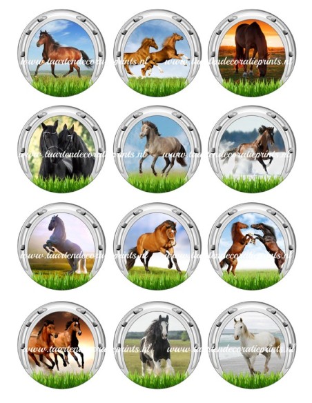 Eetbare Print Paarden Cupcakes - 6cm