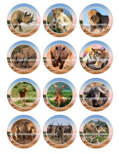 Eetbare Print Wilde Dieren Cupcakes - 6cm