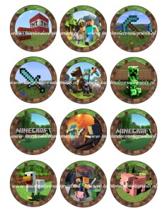 Eetbare Print Minecraft Cupcakes - 6cm
