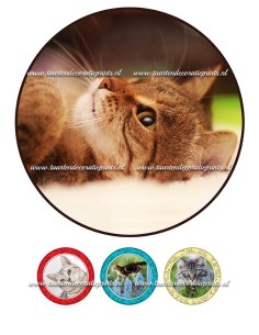 Eetbare Print Katten 1 - 20cm