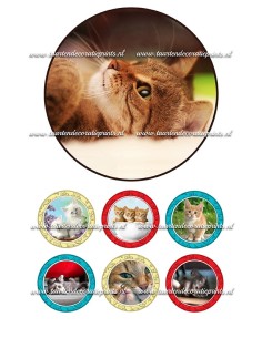 Eetbare Print Katten 1 - 15cm