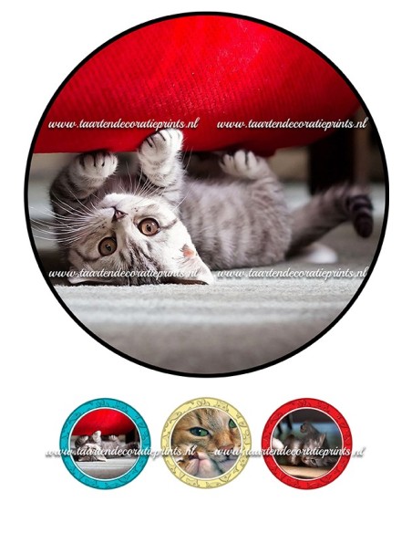Eetbare Print Katten 2 - 20cm